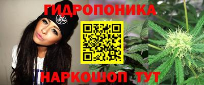 соль ск Гусев