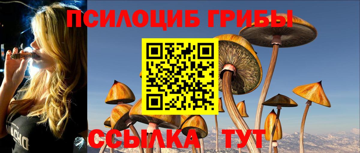 Лосино-Петровский  Галлюциногенные грибы Psilocybe  Псилоцибиновые грибы прущие грибы  Вход с VPN 